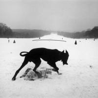 \"Hauts-de-Seine. Parc De Sceaux\" (France, 1987) | &#169; JOSEF KOUDELKA/MAGNUM PHOTOS