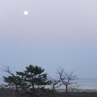 Full moon rising: A new 14-meter-high dike separates land and sea along the Sendai coast. | STEPHEN HESSE