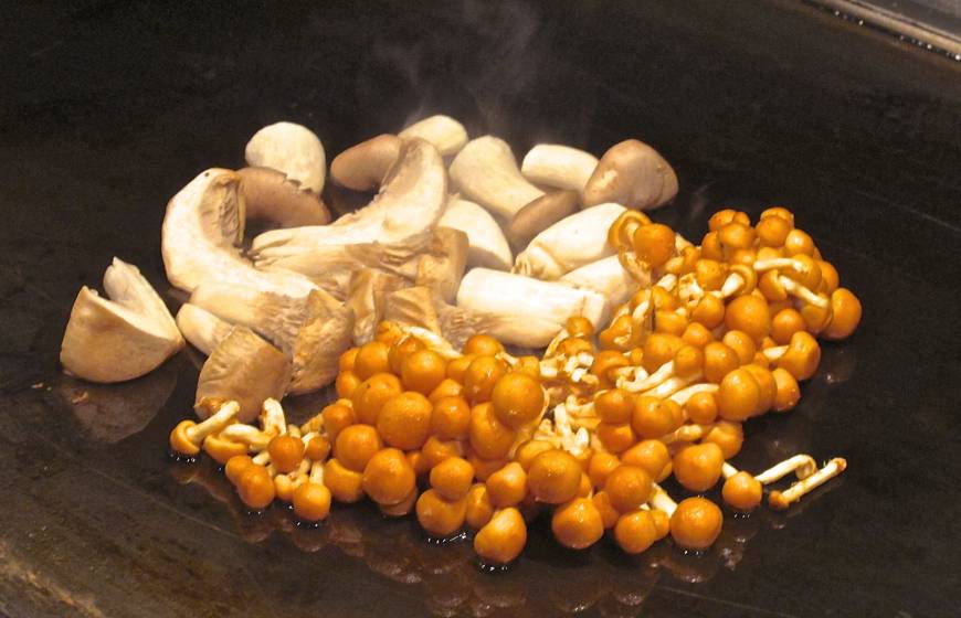 Misotetsu Kagiroi Seasonal fungi | ROBBIE SWINNERTON