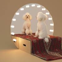 Love me, love my dog: “Paramount,” a vanity stage for the toy poodle by Konstantin Grcic. It's a dog's life, but architects can find ways to improve it