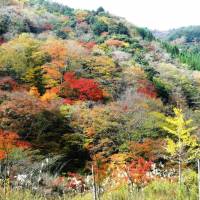 Seasonal hues: The mountains of Gokanosho in southern Kumamoto Prefecture are awash with color in the autumn. | PHOTO MANDY BARTOK