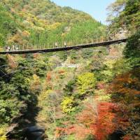 Bird\'s eye view: The higher of the two Momigi Suspension Bridges. | PHOTO MANDY BARTOK
