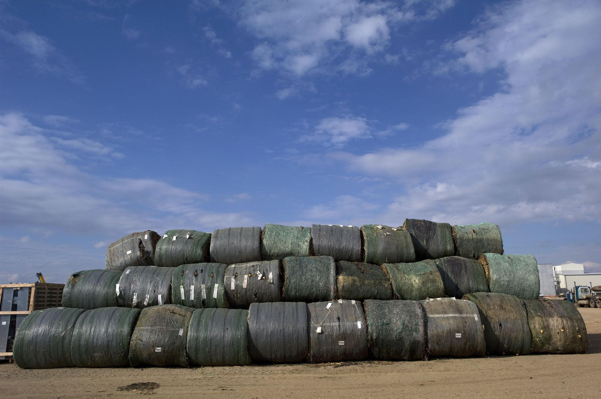 Ethanol from cellulose falls short of expectations - The Japan Times
