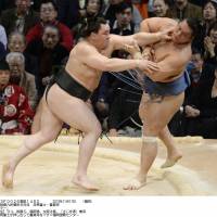 Positive attitude: Harumafuji (left) goes on the attack against Homasho at the Kyushu Grand Sumo Tournament on Sunday | KYODO
