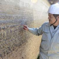 Vandalized: An employee of the Nara Prefectural Board of Education points to graffiti carved into an ancient wall at Horyuji Temple in the town of Ikaruga. | KYODO