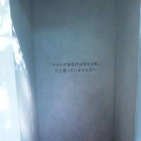 Luxury for many: Curious onlookers look at toilet stalls placed in Tokyo\'s Showa Kinen Park Tuesday, as UNICEF celebrates World Toilet Day. The one in the center had no toilet to raise awareness of the lack of basic sanitation in many parts of the world. | TOMOHIRO OSAKI