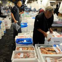 Still squirming: Boxes of freshly caught marine creatures are displayed at the Tsukiji fish market in Tokyo last month | SATOKO KAWASAKI