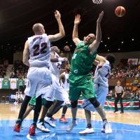 Who wants it?: Toyota\'s Philip Ricci (right) and Toshiba\'s Nick Fazekas compete for the ball during their game at Yoyogi National Gymnasium No. 2 on Saturday. The Brave Thunders beat the Alvark 73-65. | KAZ NAGATSUKA