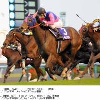 Mambo moving: Under jockey Koshiro Take, Meisho Mambo gallops to the finish line to win the Queen Elizabeth II Cup at Kyoto Racecourse on Sunday. | KYODO
