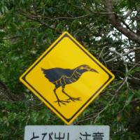 A Sign exhort drivers to take care to avoid Okinawa Rails. | MARK BRAZIL PHOTO