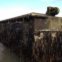 The Tohoku dock that reached Oregon with life aboard. | JESSICA MILLER