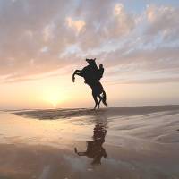Ride and set: A Palestinian rides a horse on the beach as the sun sets on Friday. Syrian civil war tests borders drawn less than a century ago in Mideast