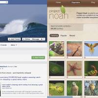 Animal instincts: Screenshots of Stumpy the whale shark’s Facebook page and Project Noah’s social-networking site. Where the wild things are: the animal social network