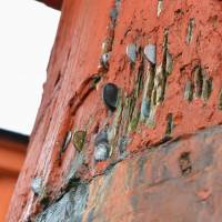 A photo taken on Dec. 18 shows coins in the cracks of the gate\'s main pillar. | KYODO