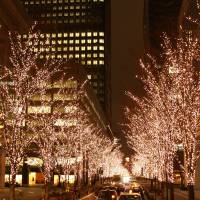 Naka-dori illuminations in Tokyo | REBECCA MILNER