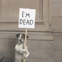 David Shrigley\'s \"I\'m Dead\" (2010) | COLLECTION HAMILTON CORPORATE FINANCE, LONDON; IMAGE COURTESY KELVINGROVE ART GALLERY AND MUSEUM; &#169; THE ARTIST