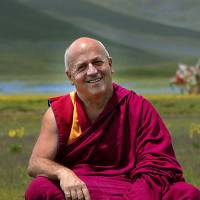 Matthieu Ricard | ILLUSTRATION BY ANDREW LEE