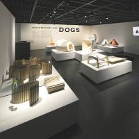 Dog day afternoon: Kenya Hara\'s \"Architecture for Dogs,\" a project that explores the new possibilities of an architecture perceived at the scale of dogs, has been exhibited in the U.S. and Japan. Hara plans to continue displaying the exhibition in Asia over the next few years. | NACASA &; PARTNERS INC.