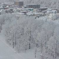 Brass monkeys: The view from Château Brazil in Ebetsu, Hokkaido, one early January morn while flowers were likely abundant in other parts of Japan basking in warm sunshine. | MARK BRAZIL