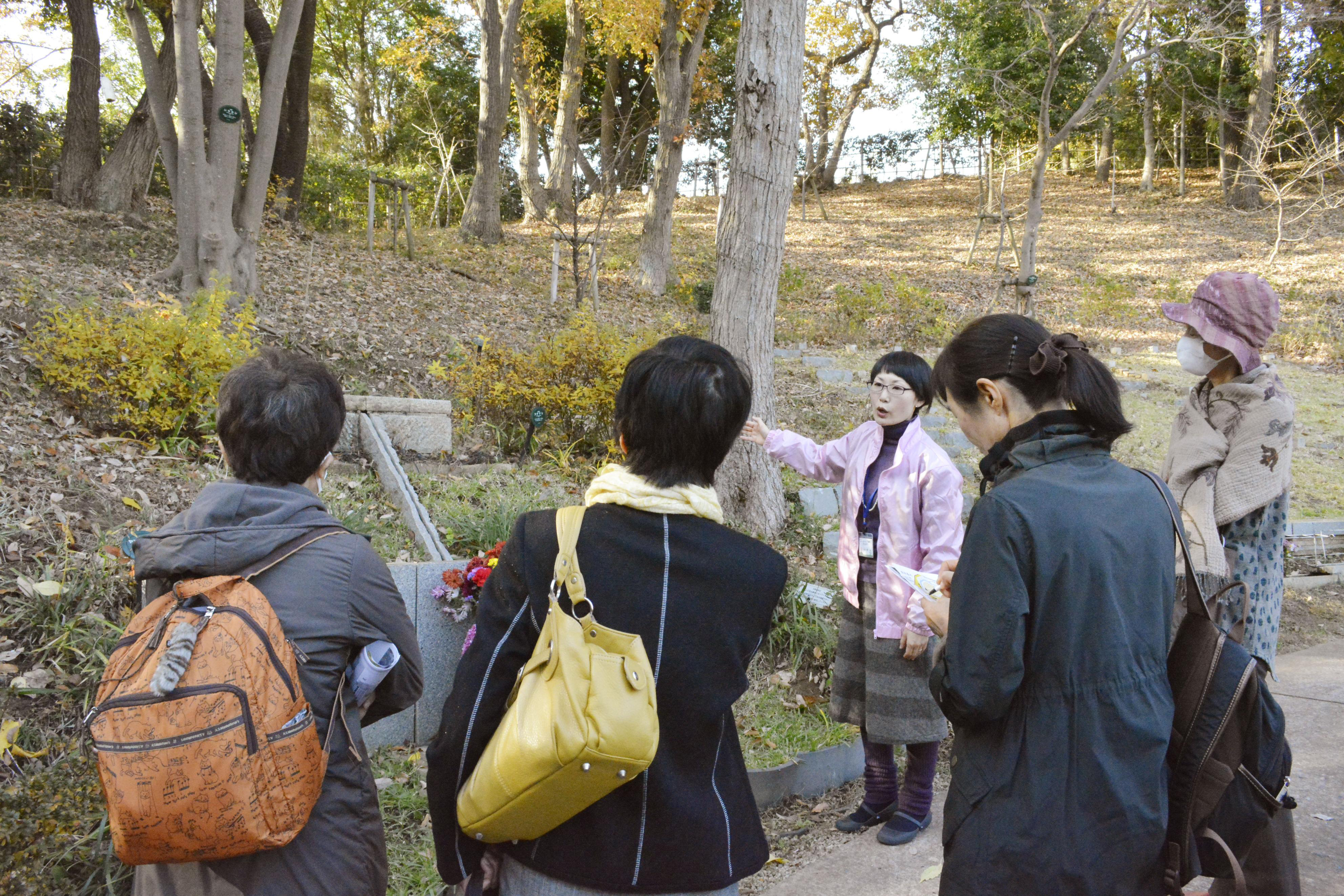 Options: An Ending Center official explains 'jumokuso' (burial under a tree), a form of natural burial, in a wooded area in a cemetery in Machida, Tokyo, last month.  | KYODO