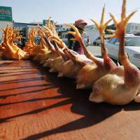 Toes up: Slaughtered chickens are displayed for sale at a wholesale poultry market in Shanghai on Tuesday. Bird flu spikes in China before Lunar New Year