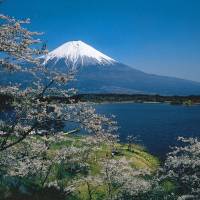 High point: Mount Fuji, seen here from Lake Tanuki, was on the list of \"hit products\" because it was voted a UNESCO World Heritage Site in 2013. | &#169;JNTO