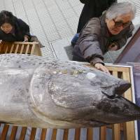 People place coins on a frozen tuna dedicated to Nishinomiya Shrine in Hyogo Prefecture on Wednesday in a good-luck ritual that started in the 1970s. | KYODO