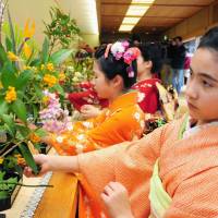 Young women practice the art of flower arrangement at the Ikenobo school in Kyoto on Sunday. Some 1,500 students took part in the annual mass ikebana event at the school\'s studios throughout the nation. | KYODO