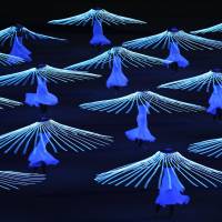 Ballerinas wearing specially lit costumes perform during the opening ceremony of the 2014 Winter Olympics. | KYODO