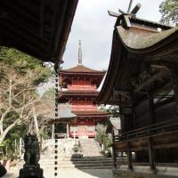 A five-story pagoda in the back of the shrine complex, as viewed from near the shrine’s main hall Ancient hilltop shrine, venison highlight trip to Kaibara