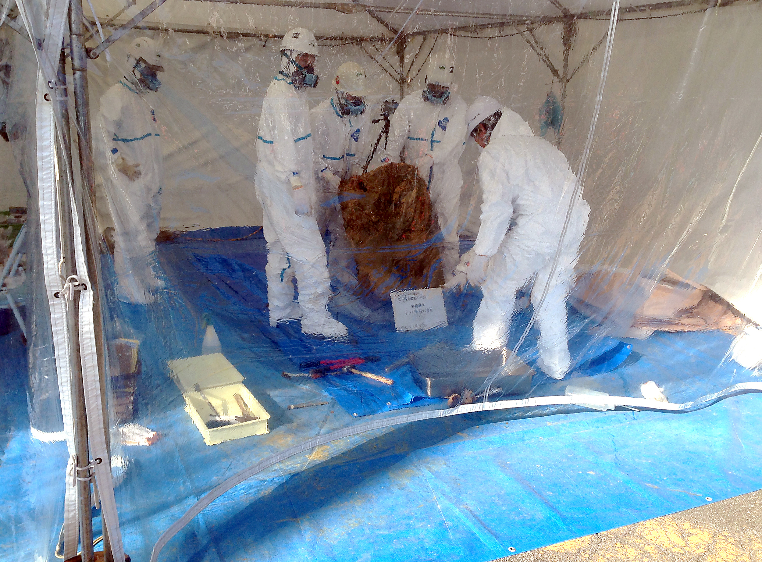 Hazardous work: Experts working behind plastic examine barrels that were dug up from underneath a soccer pitch in the city of Okinawa on Thursday. | NAOYA KUWAE