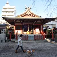 In the spirit: A resident passes by Akiba Shrine at Tokyo\'s Taito Ward on Jan. 18. | YOSHIAKI MIURA