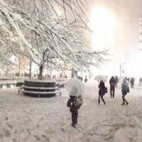 The front of Shibuya Station all covered in snow on the evening of Valentine\'s Day. | ANDREW LEE