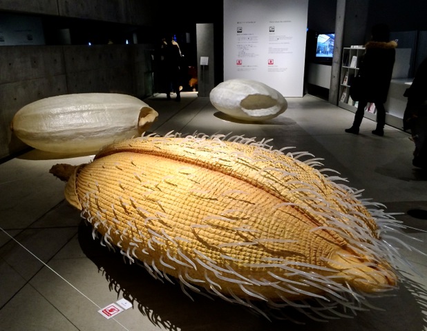 The 'My name is Rice' installation &#8212; giant models of rice in different stages greet visitors to 'Kome:The Art of Rice.' | ROBBIE SWINNERTON