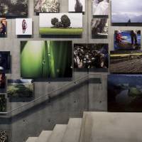 \"Kome Mandara\": Photography of the cultivation of rice offer unusual perspectives   | 21_21 Design sight