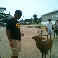 Enjoying the sights: Marquette University alum Joe Chapman enjoys local sightseeing in Nara Prefecture. | COURTESY PHOTO