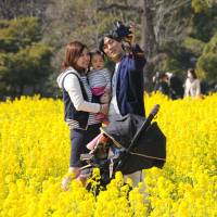 Hirofumi Uno takes a photo of himself, his wife Saki and daughter Aoi among yellow rapeseed blossoms blooming at Hamarikyu Gardens in Chuo Ward, Tokyo, on Monday. Visitors will be able to enjoy the colorful scenery until early next month. | SATOKO KAWASAKI