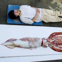 A rare giant squid, caught March 12 near Yokosuka, Kanagawa Prefecture, is displayed next to a man to show how long it is. | KEIKYU ABURATSUBO MARINE PARK / KYODO