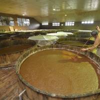 Soy boy: Kazuhiko Morita stirs a giant vat of moromi at Yamaki Jozo, a plant in Saitama that produces soy sauce, tofu, miso and more using natural methods.  | KENJI MIURA