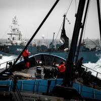 A Japanese whaling vessel cuts across the bow of the Sea Shepherd-operated Steve Irwin in the waters off Antarctica on Feb. 2. | SEA SHEPHERD AUSTRALIA/AFP-JIJI