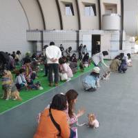 Improving a dog\'s life: Owners learn how to train their puppies to sit and stay at the \"Wan Wan Carnival in Yoyogi Park. | © Final Cut for Real Aps, Piraya Film AS and Novaya Zemlya LTD, 2012