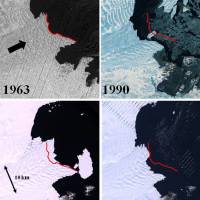 Satellite images of the retreating and advancing Vanderford Glacier, Wilkes Basin, East Antarctica, in relation to its terminus in 1963 (denoted by the red line). | USGS EARTH RESOURCES OBSERVATION SCIENCE CENTER
