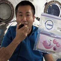 Astronaut Koichi Wakata holds a pack of cherry seeds in the International Space Station in this JAXA picture taken on April 13, 2009. | AFP-JIJI/JAXA