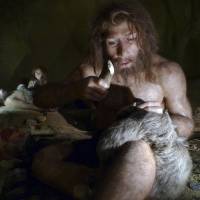 I’m with stupid: An exhibit shows the life of a Neanderthal family in a cave in a museum in Krapina, Croatia, in February 2010. | REUTERS