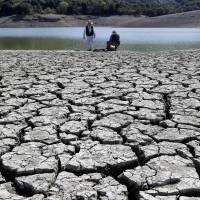 Barren landscape: Cracks form in the dry bed of a reservoir in Cupertino, California. | AP