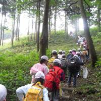 Living legacy: Students take a trip around Sanden Forest, opened in 2002 alongside the Sanden Corp. Akagi Industrial Plant as a way to offset the effects of the factory on the environment, and the jewel in the company’s corporate social responsibility program. | C.W. NICOL