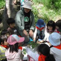 During an environmental event held on May 11 at Arisugawa-no-miya Memorial Park in Tokyo\'s Minato Ward, a group of children sit in a circle to learn the names of plants. | CHIHO IUCHI