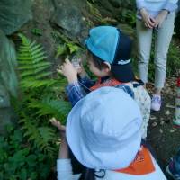 A boy looks at fern fronds with a magnifying glass. | CHIHO IUCHI