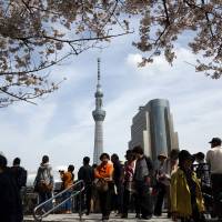 People walk underneath blossoming cherry trees in Sumida Ward as Tokyo Skytree graces the background April 2. | BLOOMBERG