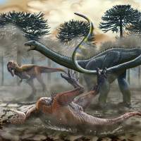 The South American dinosaur Leinkupal laticauda uses its whiplike tail to fend off predators in this illustration provided by Jorge Antonio Gonzalez. | REUTERS